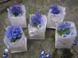 blumen 009.jpg
