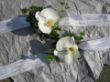 blumen.jpg